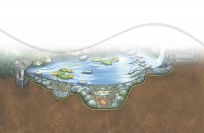Aquascape Ecosystem