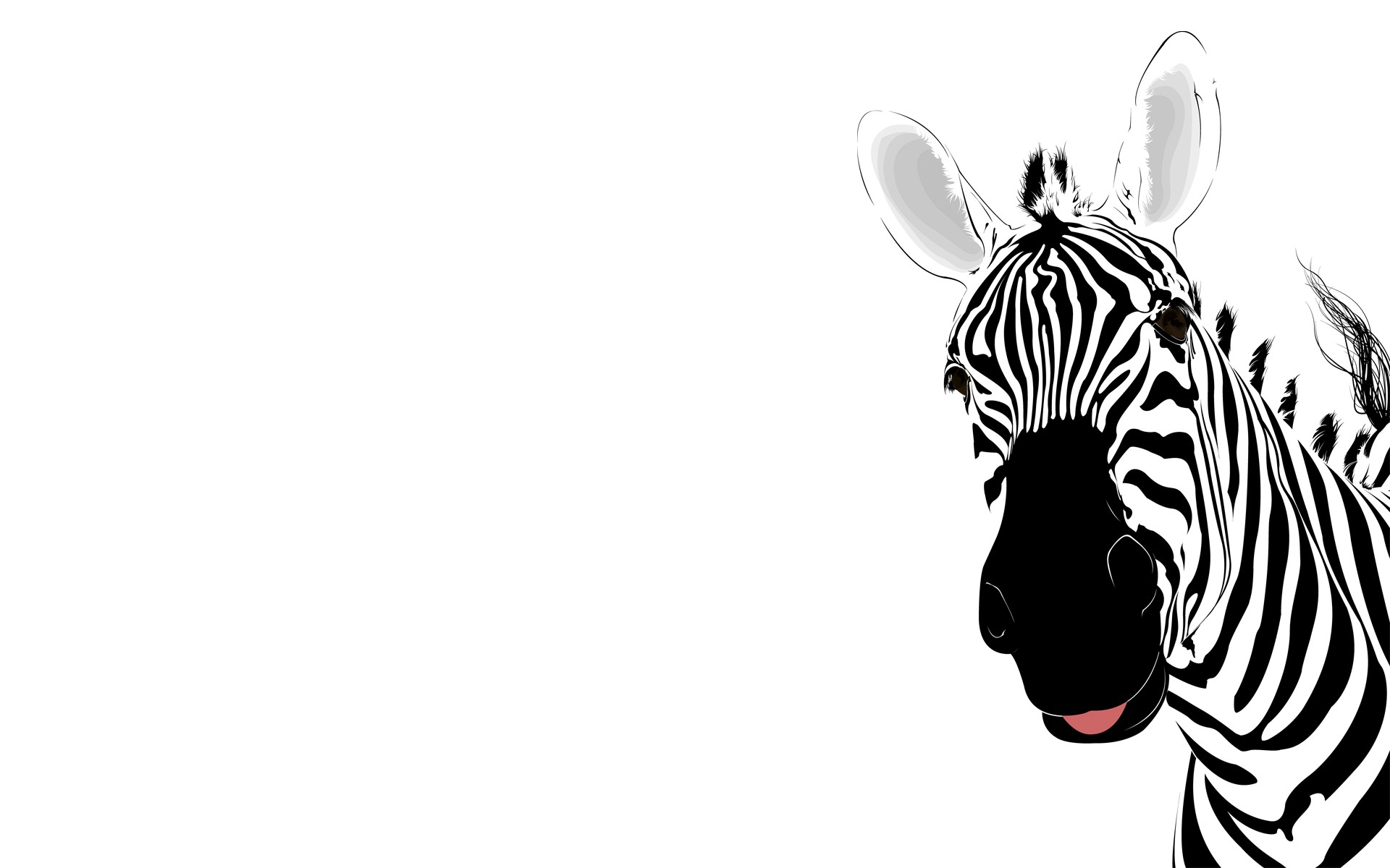 zebra corporate presentation